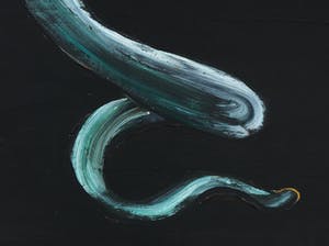 Rian de Jong - Olieverf op doek, Stilleven met slang - Ingelijst (Zeer groot) kopen? Bied vanaf 1!