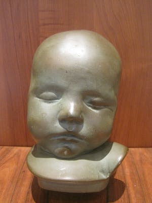 Gebroeders van Paridon - Baby hoofdje kopen? Bied vanaf 25!