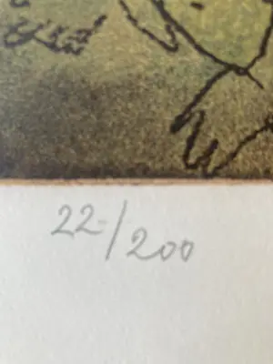 Constant - Dieren kopen? Bied vanaf 45!