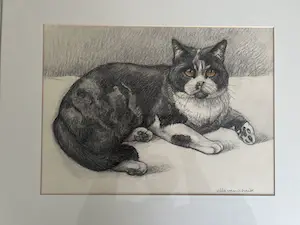 Ella van Schaik - Poes ! kopen? Bied vanaf 1!