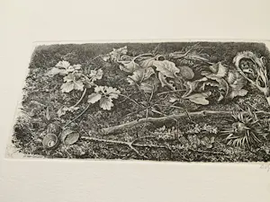 Dirk van Gelder - ets SPIN kopen? Bied vanaf 50!