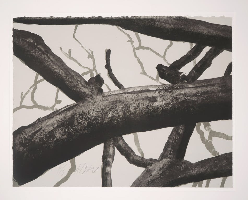 Jan Hendrix - Jan Hendrix: Lot van 3 zeefdrukken, Takken verkocht voor € 35!