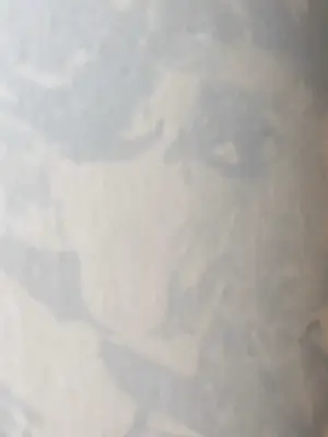 Kees van Dongen - Pochoir - Portrait d'homme kopen? Bied vanaf 65!