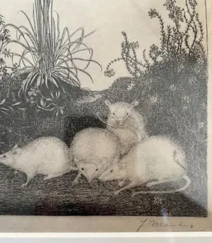Jan Mankes - Originele Heliogravure - 4 Muizen 1923 kopen? Bied vanaf 50!