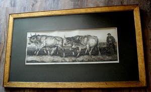 Pieter Dupont - Ingelijste ets: Ploegende ossen kopen? Bied vanaf 125!