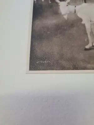 Jan Mankes - 2 heliogravures kopen? Bied vanaf 1!