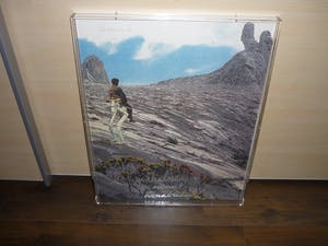 Panamarenko - Knikkebeen kopen? Bied vanaf 625!