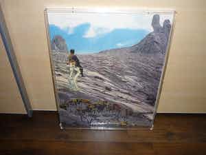 Panamarenko - Knikkebeen verkocht voor € 625!