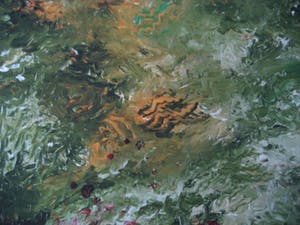 Armando - "Waldrand" - giclée - 2013 - artistenexemplaar kopen? Bied vanaf 175!