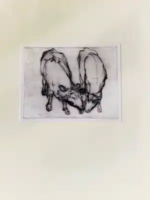 Jan Stroosma - Epr. d'artiste Ets * Koeien * - potloodgesigneerd * in passe partout verkauft für € 45!