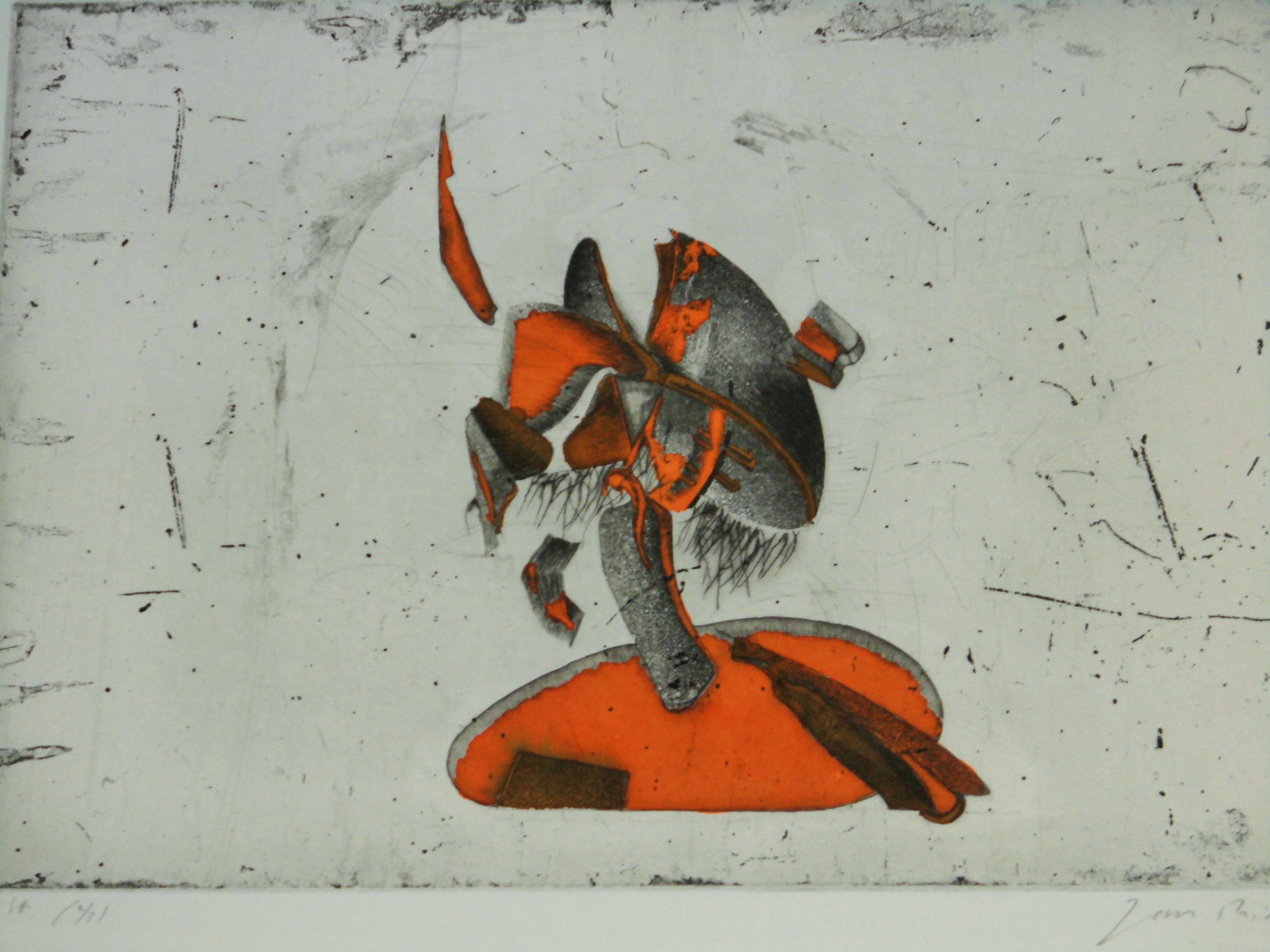 Jan Prins -  Ingekleurde GRAFIEK - Abstract kopen? Bied vanaf 25!