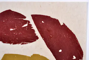 Carel Visser - Houtsnede - Gesigneerd - 21x30 cm - n° X/X - 1999 kopen? Bied vanaf 350!