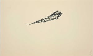 Melle Oldeboerrigter - Inkttekening op papier, Zonder titel kopen? Bied vanaf 1!