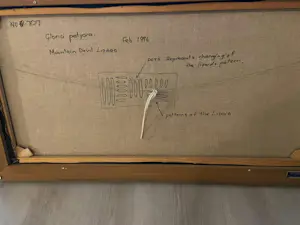 Gloria Petyarre - Mountain Devil Lizard kopen? Bied vanaf 995!