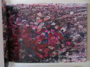 Zhuang Hong Yi - 3 gesigneerde uitgaves. kopen? Bied vanaf 100!