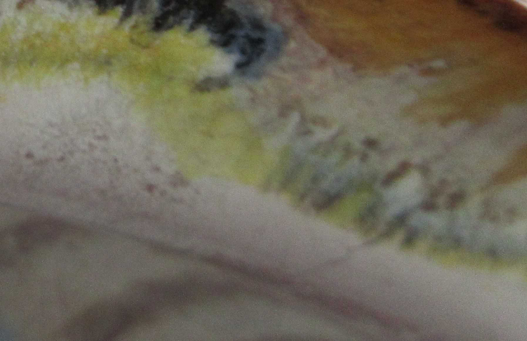 Dumbler & Breiden - Set van zes art deco borden model 420 I & IV kopen? Bied vanaf 1!