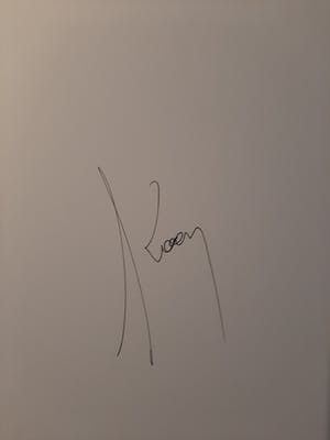 Koen Vanmechelen - Fighter - grote lambda print - handgesigneerd kopen? Bied vanaf 799!