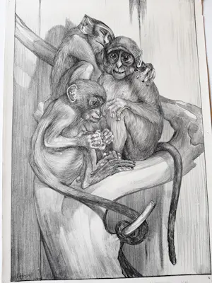 Theo van Hoytema - Litho, 'Apen' kopen? Bied vanaf 35!