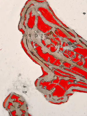 Cees Kortlang - Grote handgekleurde reliëf Ets/aquatint - potloodges. - zeer kleine oplage (10) kopen? Bied vanaf 59!