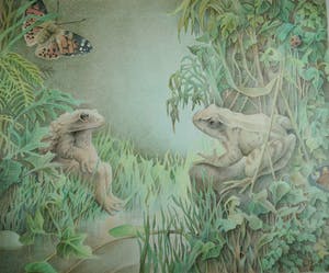 Marcel Bierenbroodspot - verliefde kikkers kopen? Bied vanaf 50!