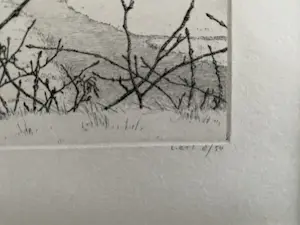 Reinder Homan - Landschap kopen? Bied vanaf 95!