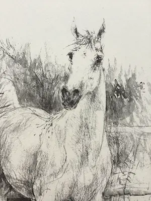 Piet Klaasse - Paarden, proefdrukken offsetlitho, 2-zijdig bedrukt, gesigneerd in druk kopen? Bied vanaf 20!