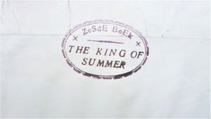 Viktor IV - Who can Betray the sun . kopen? Bied vanaf 150!