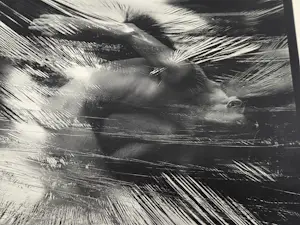 Joke van Katwijk - Zonder titel kopen? Bied vanaf 20!