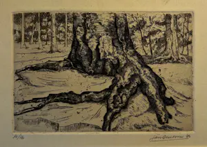 Jan Sleeboom - 9 Etsen kopen? Bied vanaf 50!