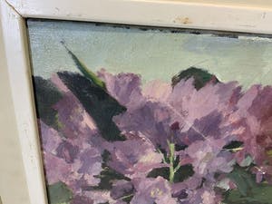 Teunis van Donselaar - Paarse bloemen kopen? Bied vanaf 25!