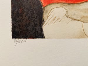 Alain Bonnefoit - L'écharpe Rouge kopen? Bied vanaf 15!