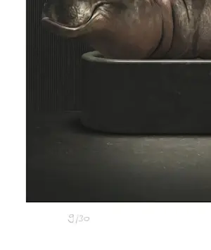 Mr Strange - Nijlpaardenbad kopen? Bied vanaf 75!