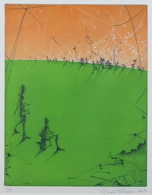 Ronald Tolman - Kleurenets, Feest in de verte - Ingelijst kopen? Bied vanaf 50!