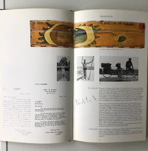 Viktor IV - Hard cover - Ad Petersen - 112 pag. - Uitstekende staat kopen? Bied vanaf 1!