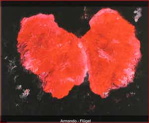 Armando - Flugel verkocht voor € 135!