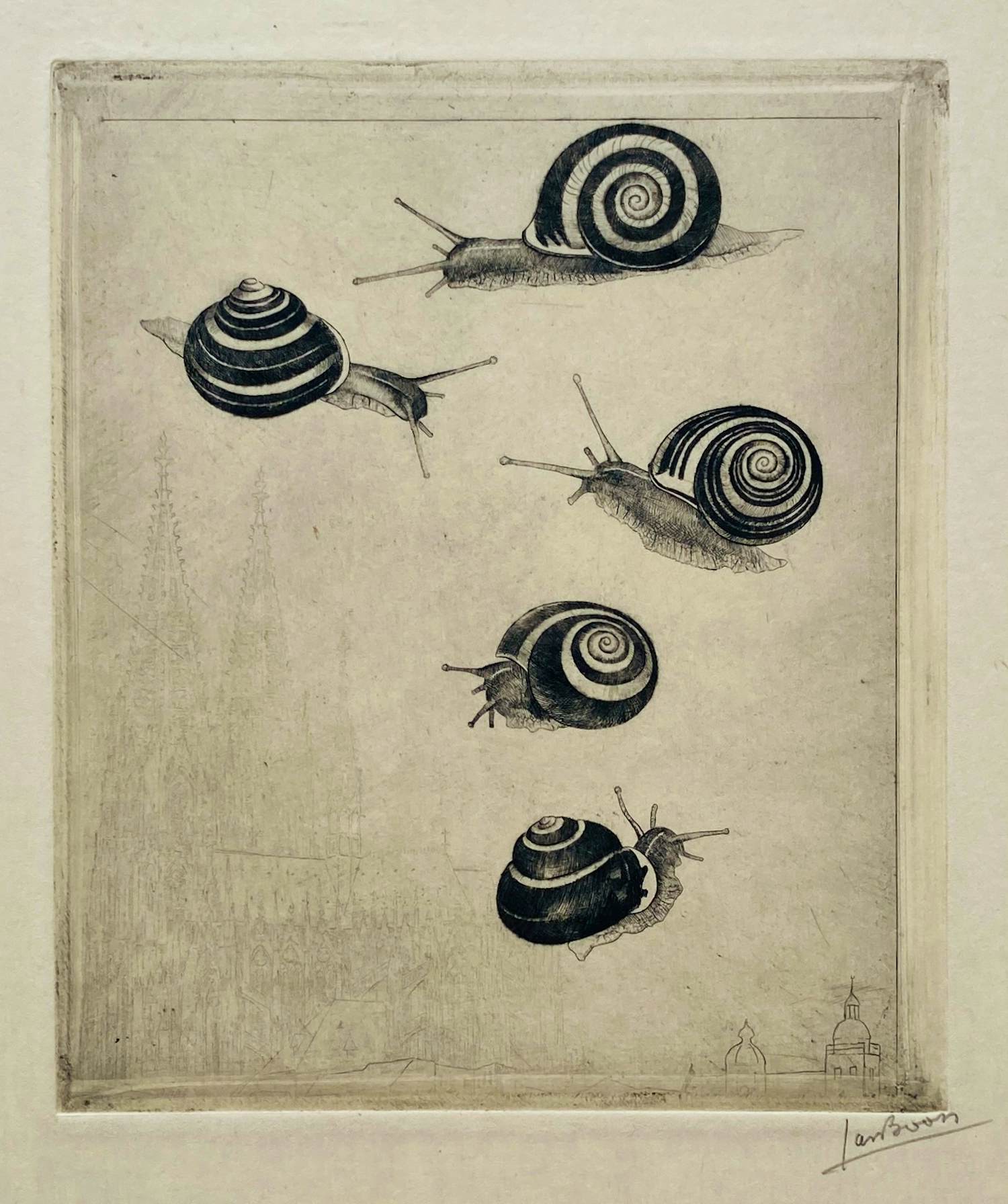 Jan Boon - Slakken kopen? Bied vanaf 55!