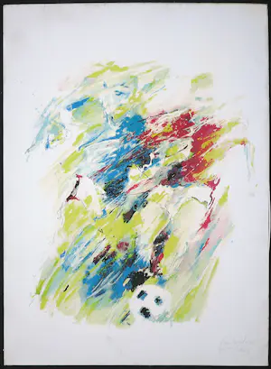 Frank Gude - Computerprint, Sporter kopen? Bied vanaf 1!