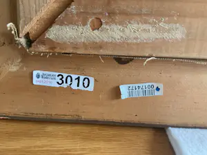 Josef Verheijen - Polder landschap kopen? Bied vanaf 50!