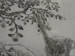 Sjef Hutschemakers - Perenplukker kopen? Bied vanaf 15!