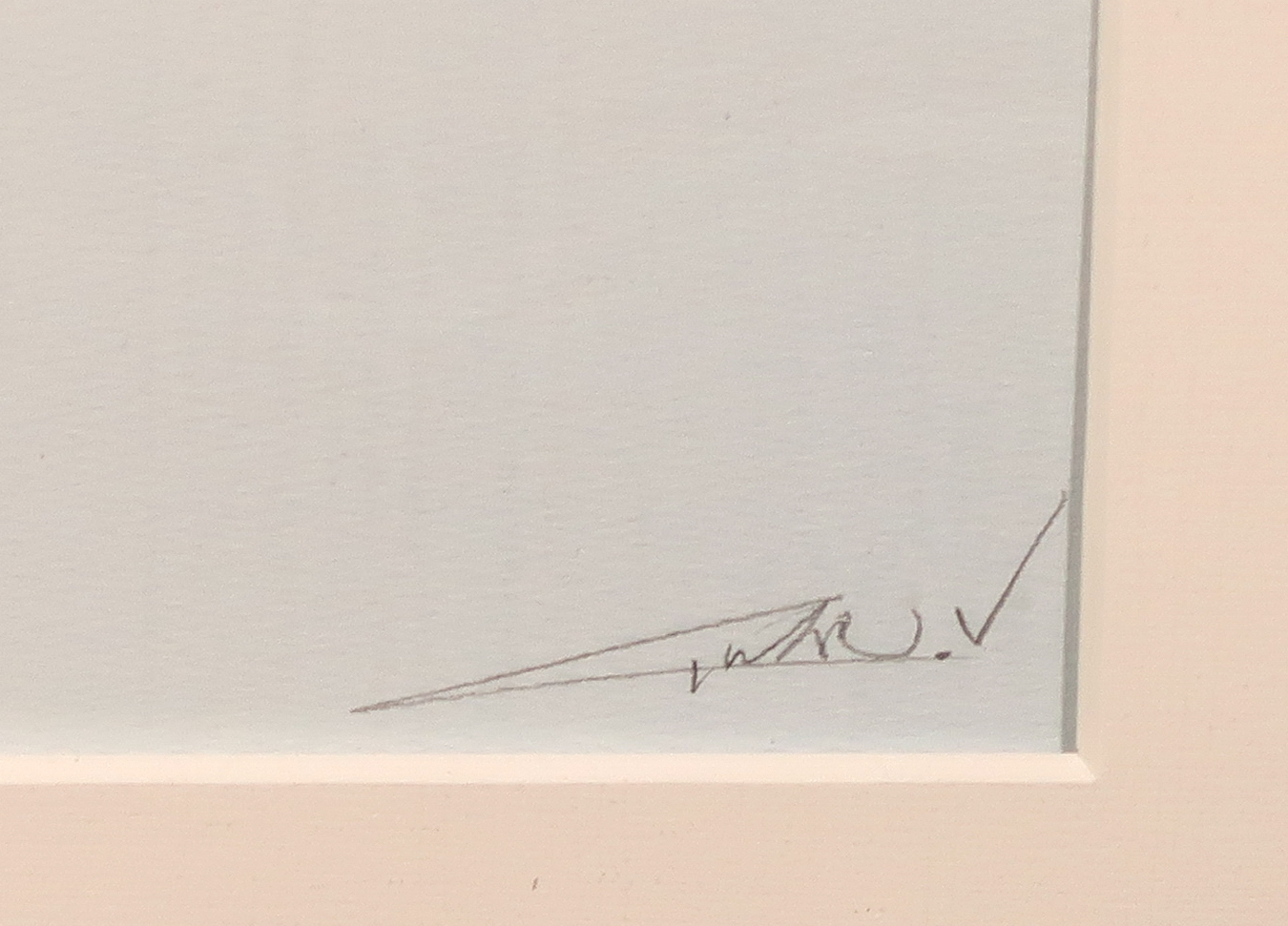 Twan van de Vorstenbosch - Offset, Wielrenner - Ingelijst kopen? Bied vanaf 1!