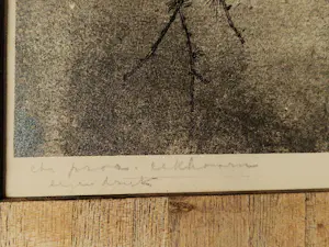 Henri Verstijnen - omstreeks 1930 - fraai gedetailleerde ETS "eekhoorn" potloodgesigneerd kopen? Bied vanaf 35!