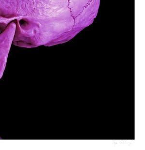 Mr. Strange - DEATH IN PURPLE kopen? Bied vanaf 65!