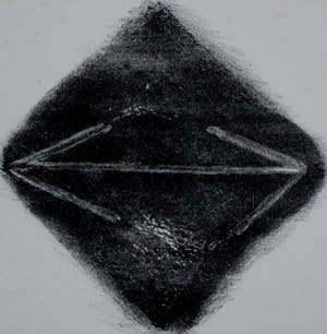 Gert Taken - Litho - 1980 kopen? Bied vanaf 49!