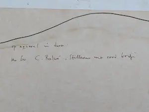 Constantia Arnolda Balwe - STILLEVEN MET BLOEMEN, SCHAALTJE EN BORD kopen? Bied vanaf 20!