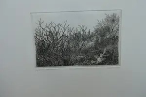 Willem Minderman - HERFSTTUIN kopen? Bied vanaf 40!