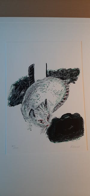 Roger Raveel - handgesigneerde Litho - Felix Vulgaris kopen? Bied vanaf 450!