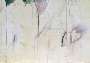 Bruno Bruni - FIORE (Kleurenlitho - handgesigneerd) ! Nu laatste keer: vanaf €1 !! kopen? Bied vanaf 1!