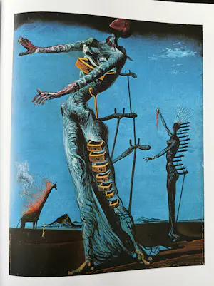 Salvador Dali - Twee boeken over Salvador Dali. Één boek is in originele verpakking. kopen? Bied vanaf 30!