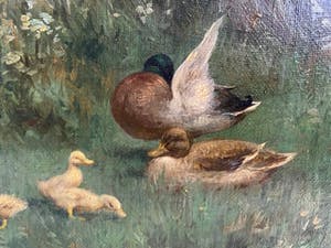 Constant Artz - Eenden aan de waterkant kopen? Bied vanaf 1700!