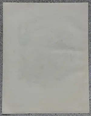 Emil Pottner - Hahn und Adler Der neue Kämpe. Original-Lithographie 1915 kopen? Bied vanaf 50!